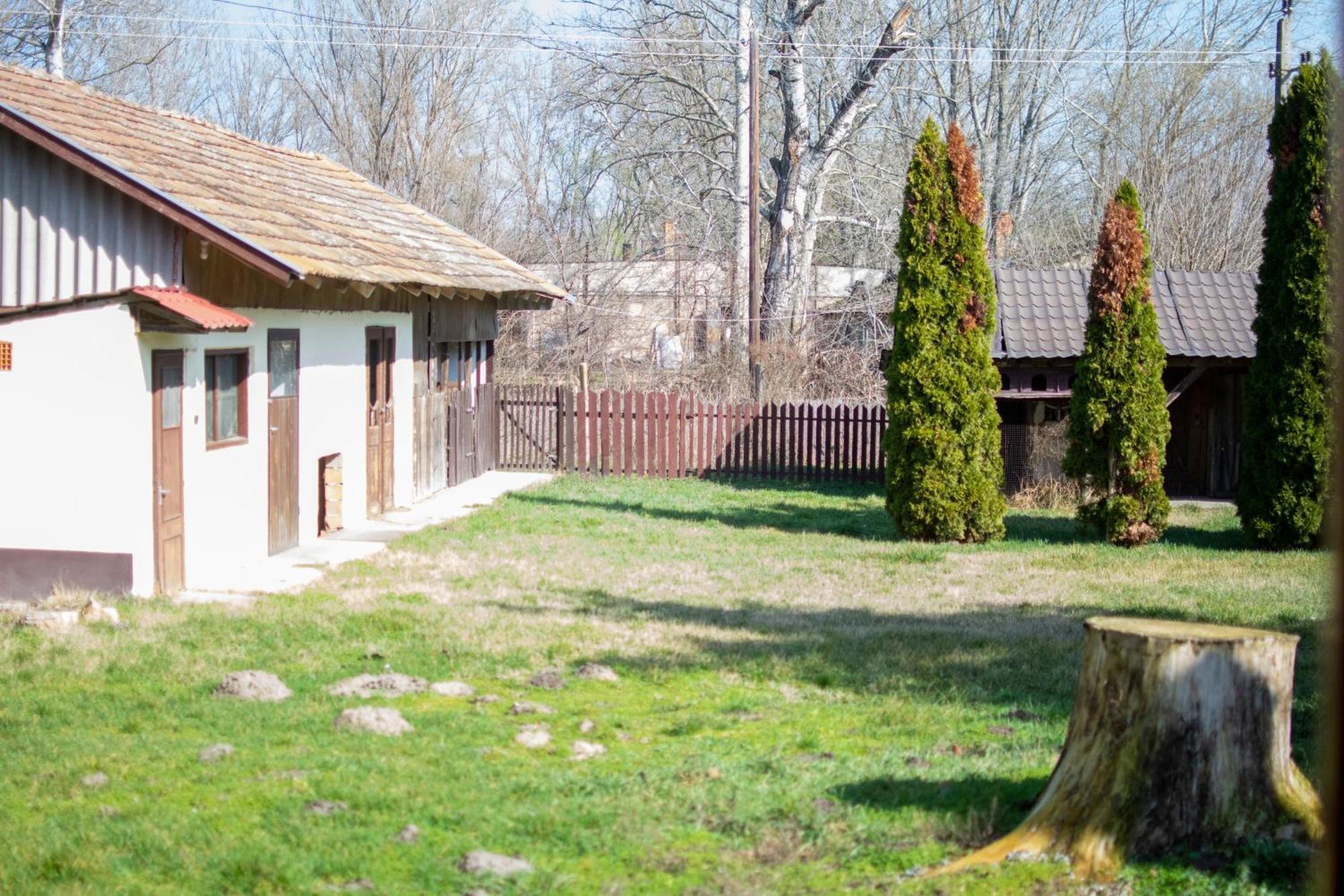 Villa Flora Kiskunmajsa Bagian luar foto