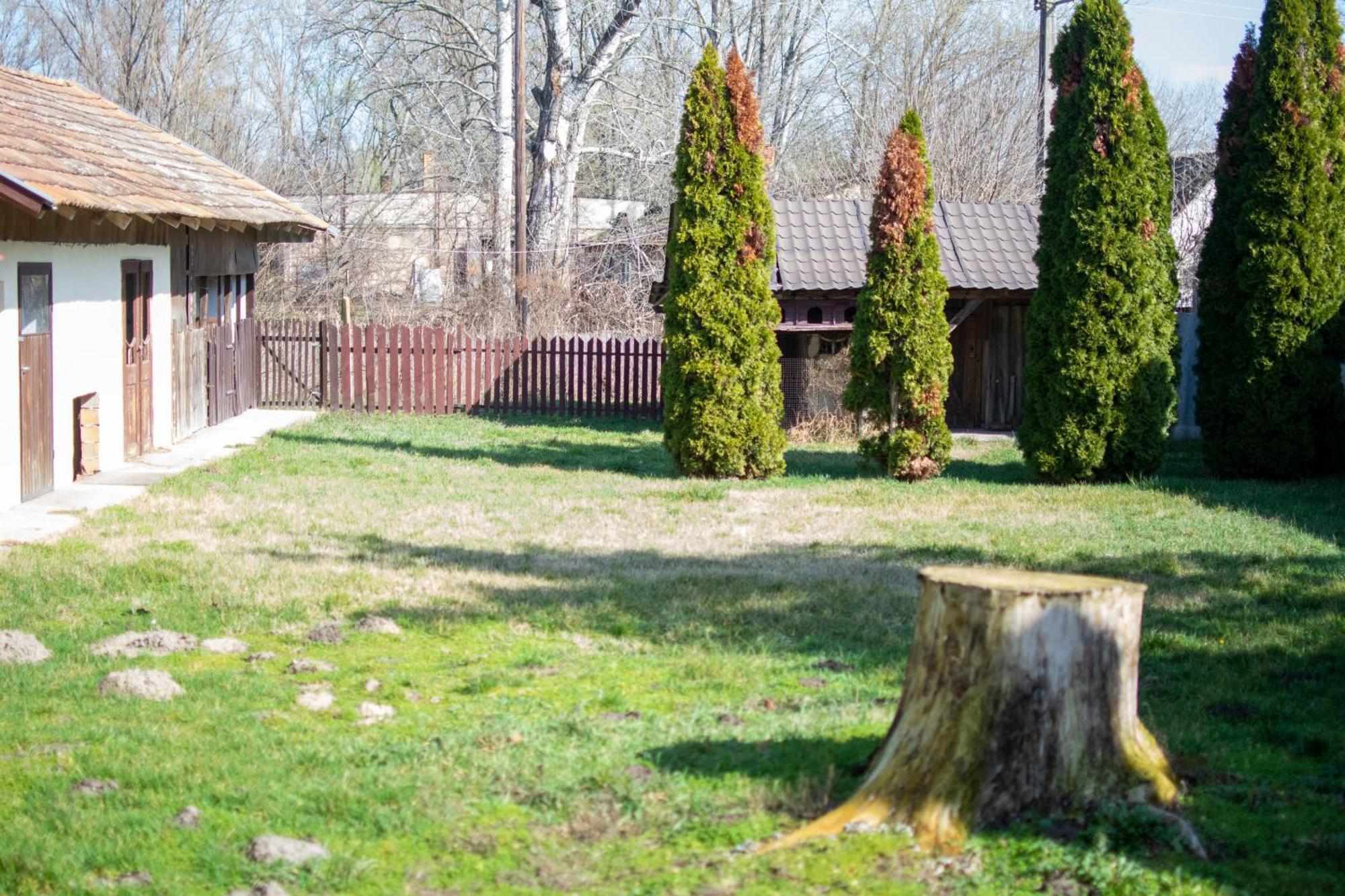 Villa Flora Kiskunmajsa Bagian luar foto